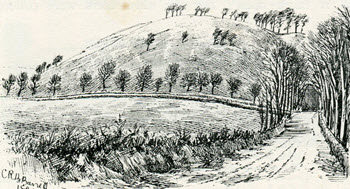 Battle of Lansdowne etching