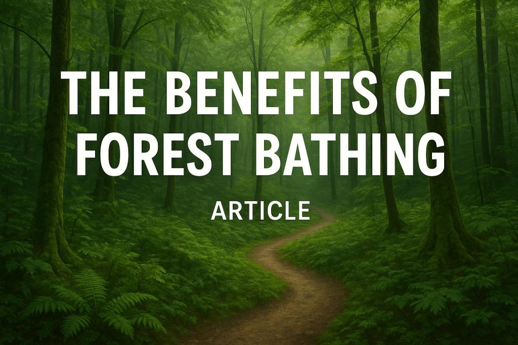 HMS Warrior: The First Iron-Hulled Warship