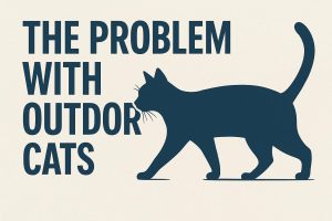 Royal Navy Submarine HMS Alliance: Life Under the Ocean